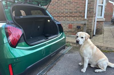 Reggie the dog next to boot of Mini Cooper SE