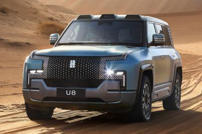 Yangwan U8 front left driving on sand
