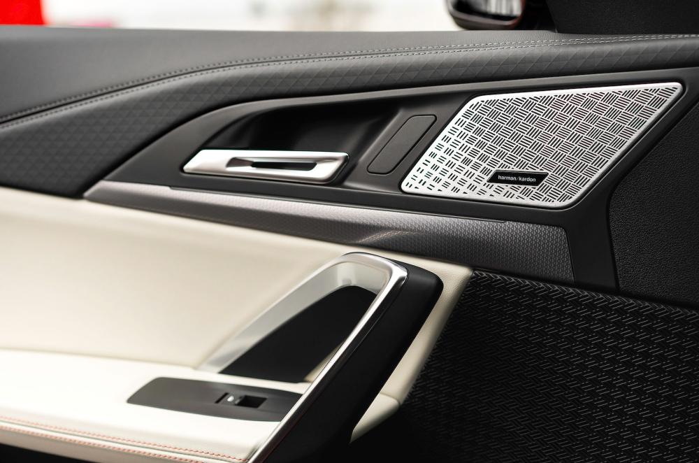 BMW iX2 door detail