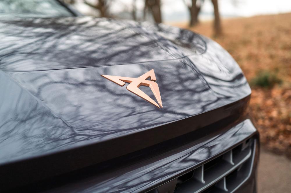 Cupra Terramar front badge