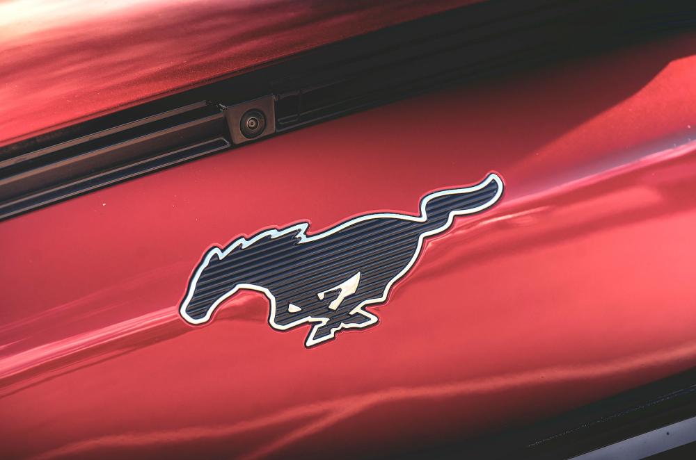 Ford Mustang Mach-E badge