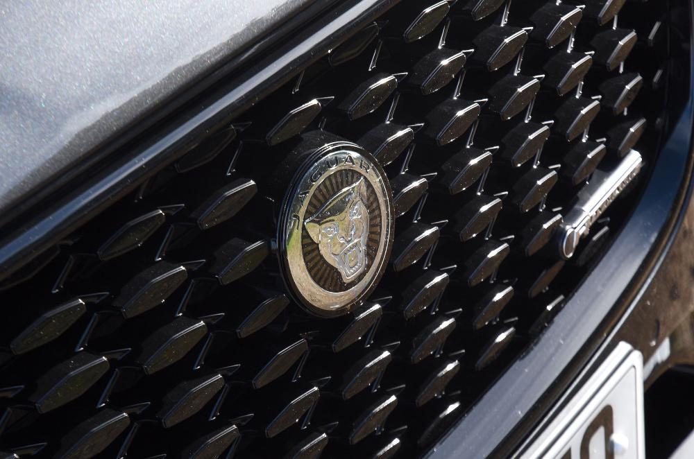 Jaguar F-Pace grille detail