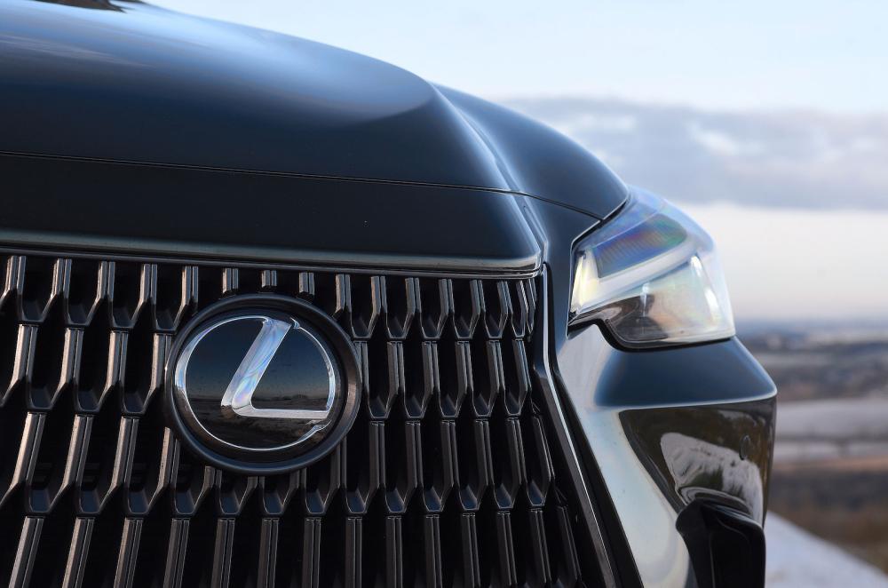 Lexus NX grille detail