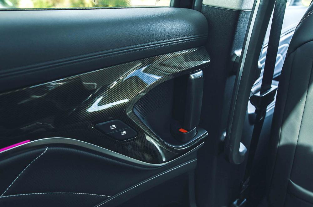 Maxus Mifa 9 door detail