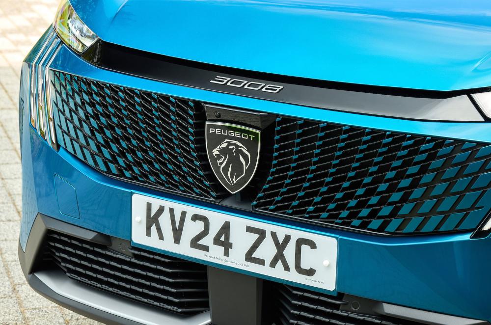 Peugeot 3008 grille