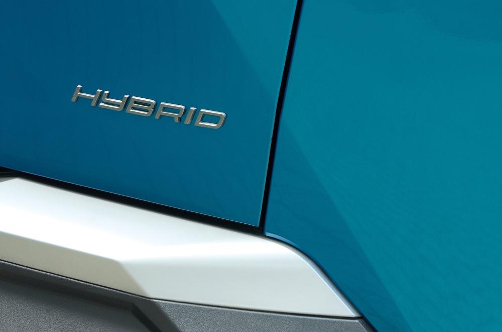 Peugeot 3008 rear badge