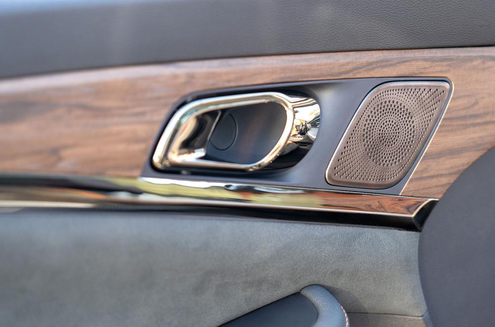 Skywell BE11 door detail