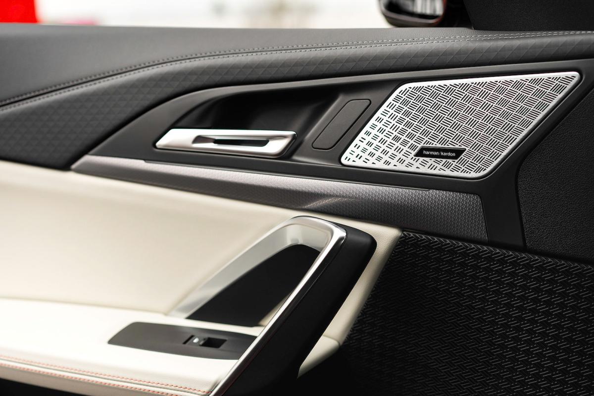 BMW iX2 door detail
