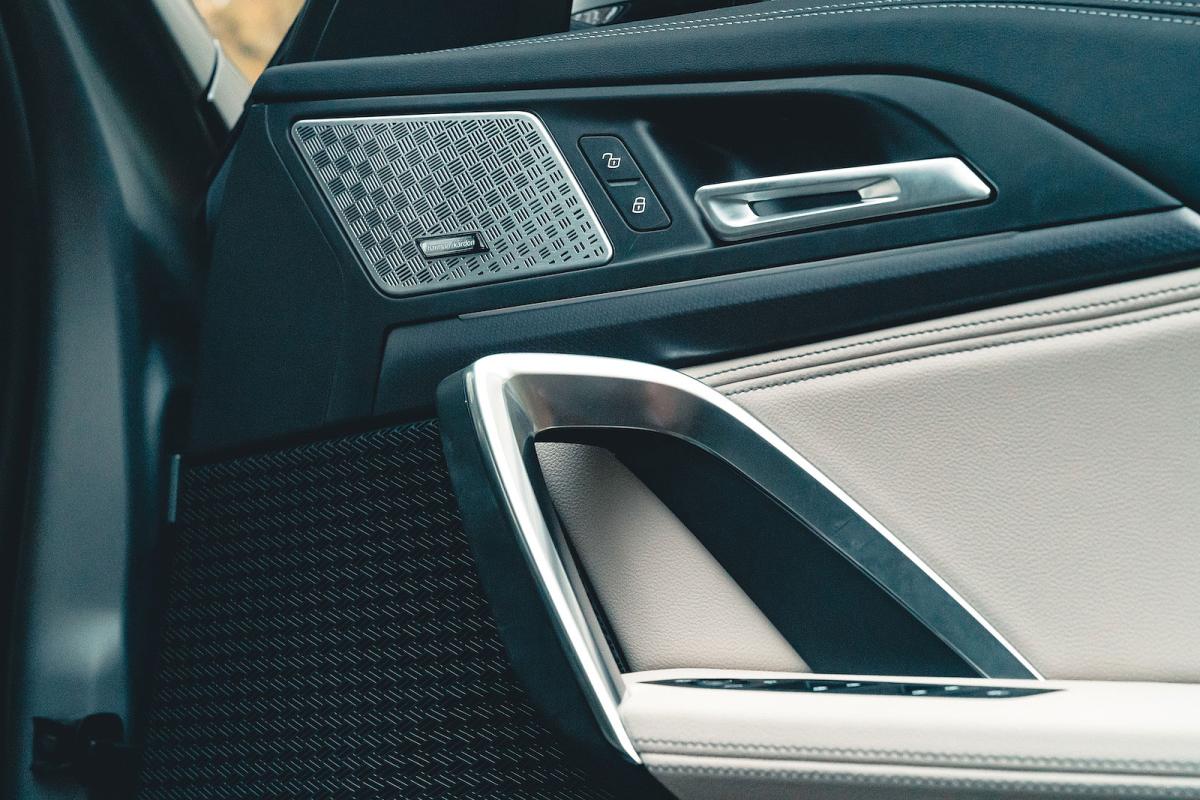BMW X1 interior door detail