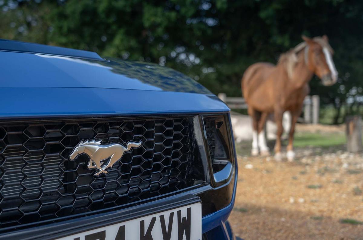 Ford Mustang GT grille