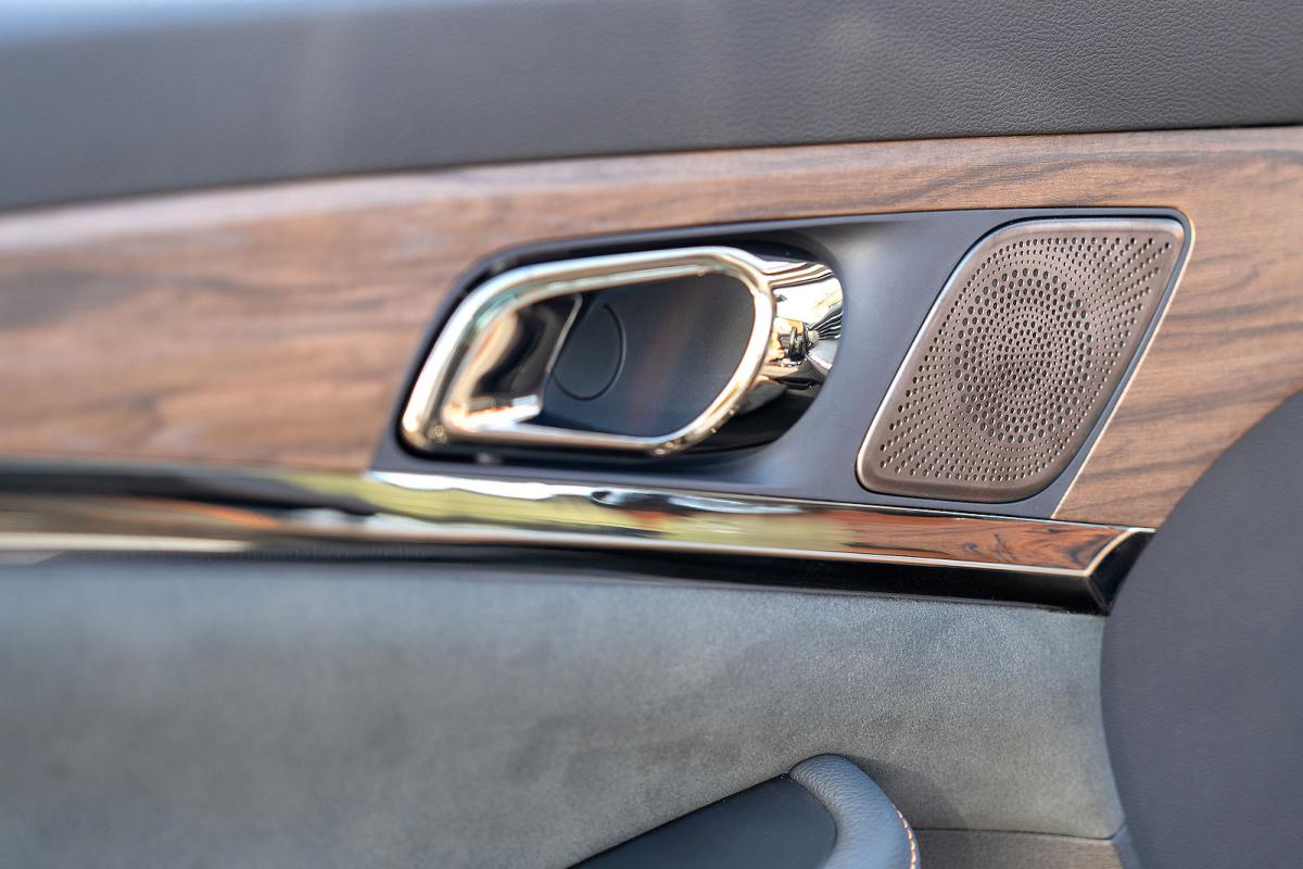 Skywell BE11 door detail