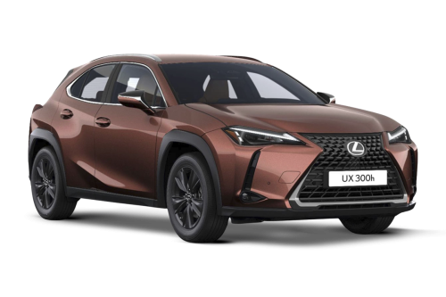 2.0 300h F Sport Design SUV 5dr Petrol Hybrid E-CVT Euro 6 (s/s) (199 ps)