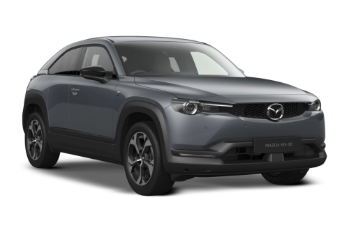 17.8kWh R-EV Makoto SUV 5dr Petrol Plug-in Hybrid Auto (s/s) (Range Extender) (170 ps)